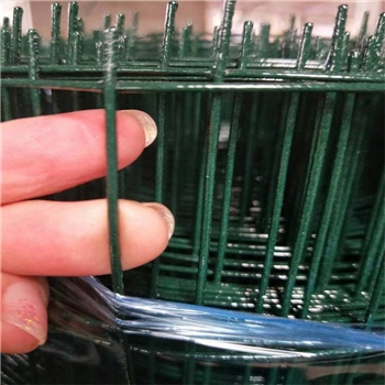 荷兰网浸塑铁丝网养殖网养鸡篱笆围栏包塑铁丝网